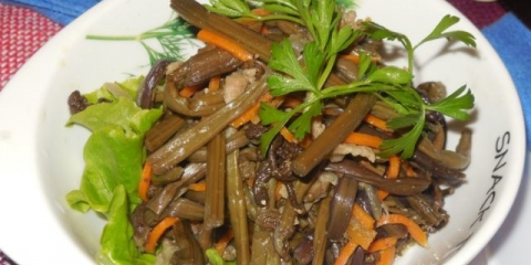 Paprat: koristi i štete za ljudsko zdravlje, sastav i sadržaj kalorija, upotreba u medicini